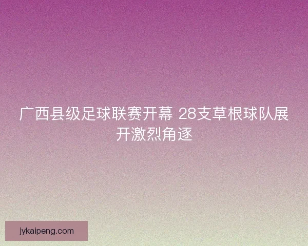 广西县级足球联赛开幕 28支草根球队展开激烈角逐